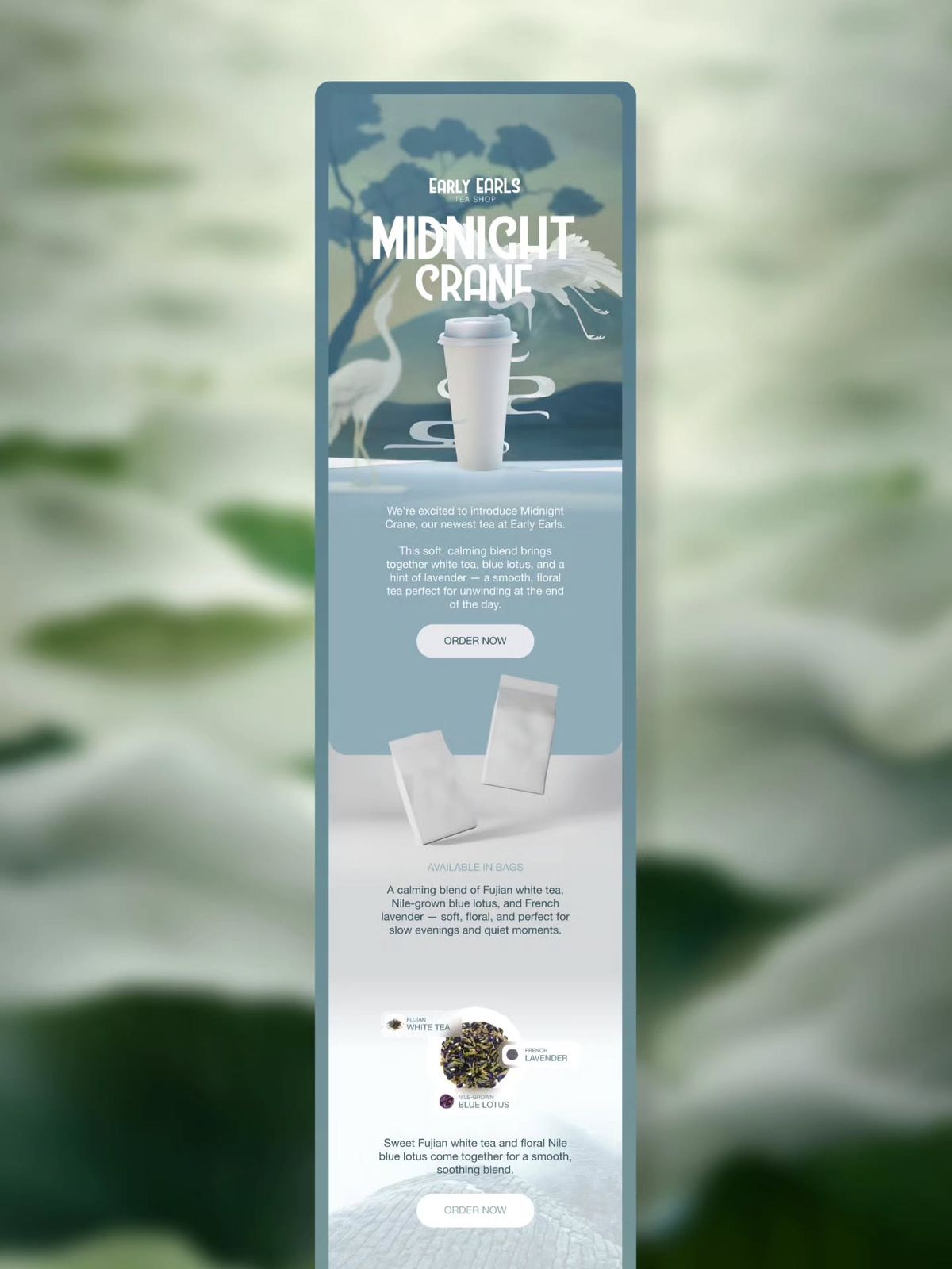 Tea brand launch email design